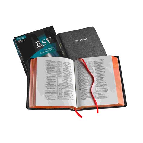 esv goatskin bible